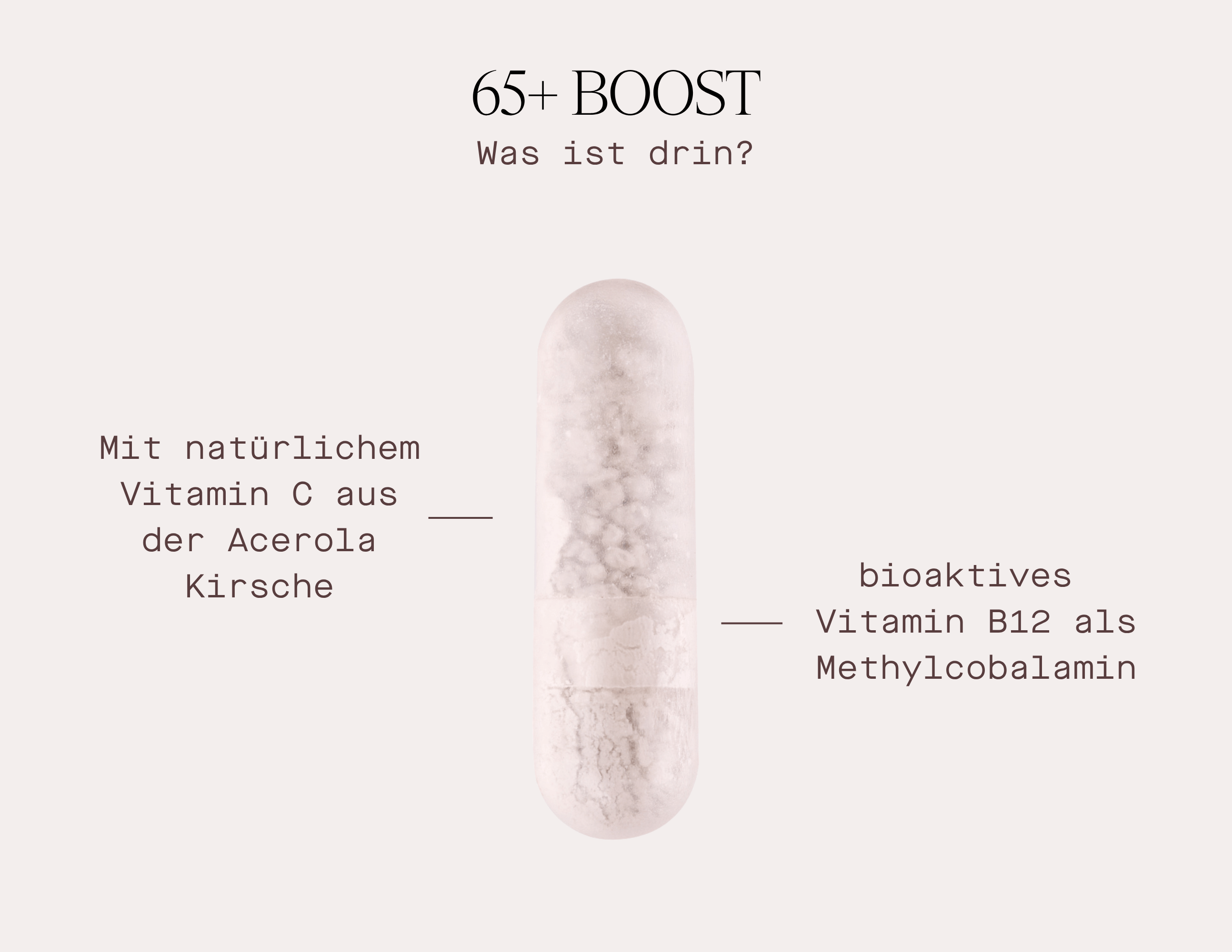 65+ Boost Nahrungsergänzungsmittel für Frauen ab 60 mit Vitamin C aus Acerola und bioaktivem B12.