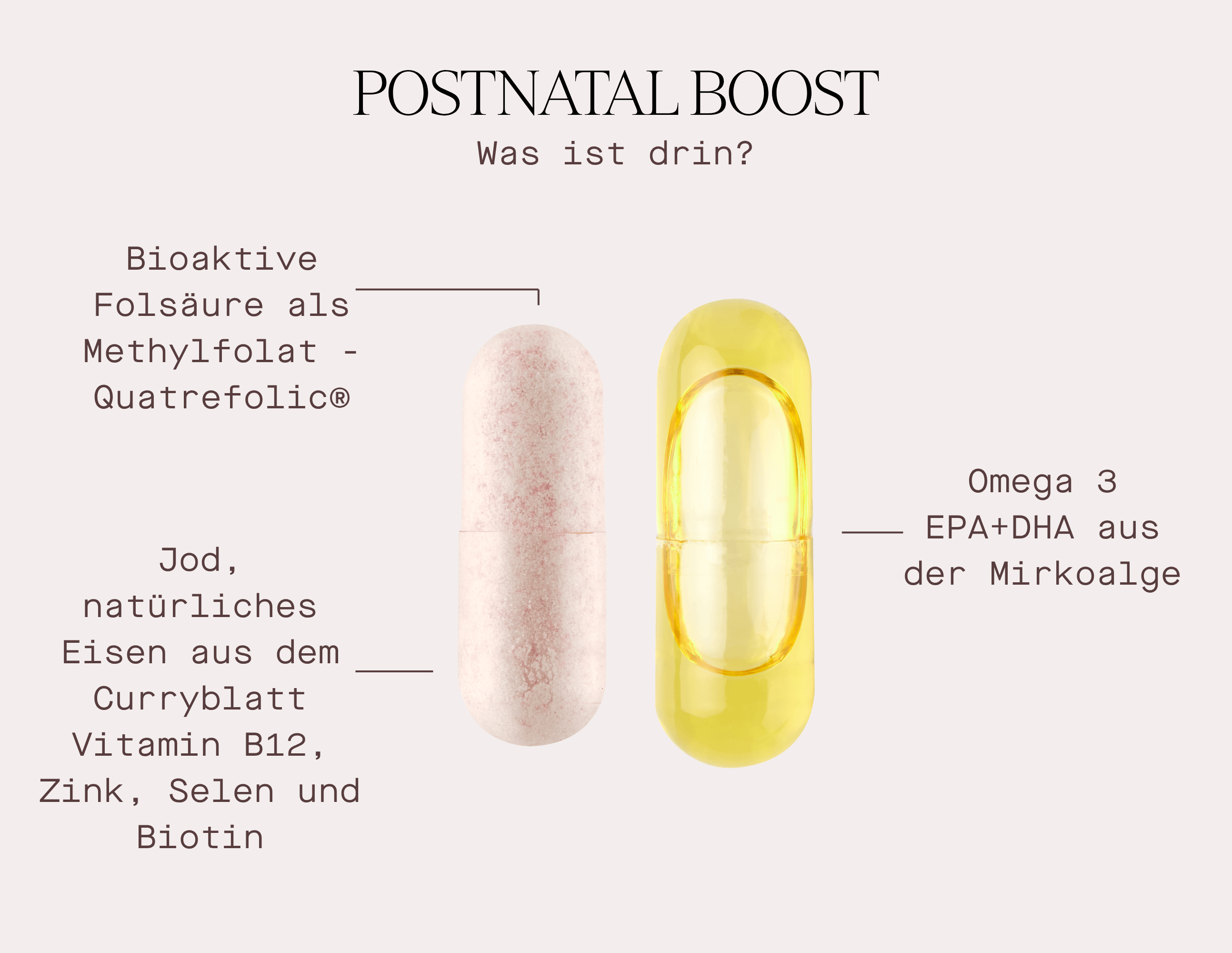 Postnatal Boost - Nahrungsergänzungsmittel: Bioaktive Folsäure und Omega 3 aus Mirkalge für stillende Mütter, Stillzeit Vitamine