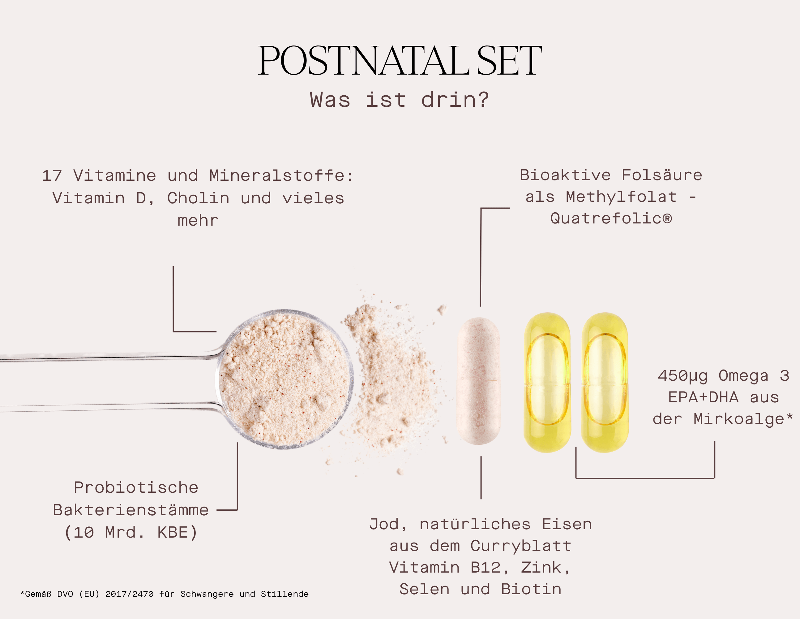 Übersicht über die Inhaltsstoffe des Postnatal-Sets: 17 Vitamine, Mineralstoffe, Probiotika, aktives Folsäure und Omega-3-Fettsäuren für stillende Mütter, Stillzeit Vitamine