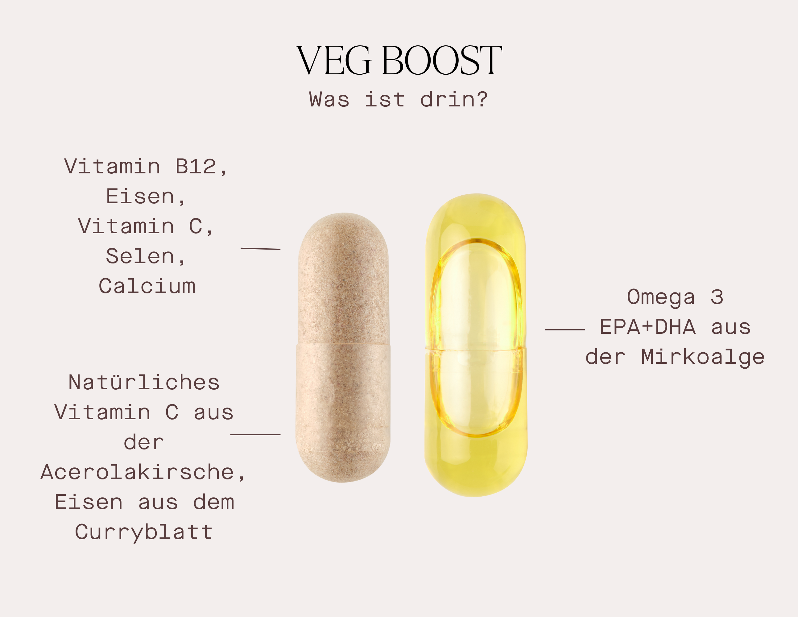 Veg Boost Nahrungsergänzungsmittel mit Vitaminen B12, C, Selen, Calcium und Omega 3 aus Mikroalgen.