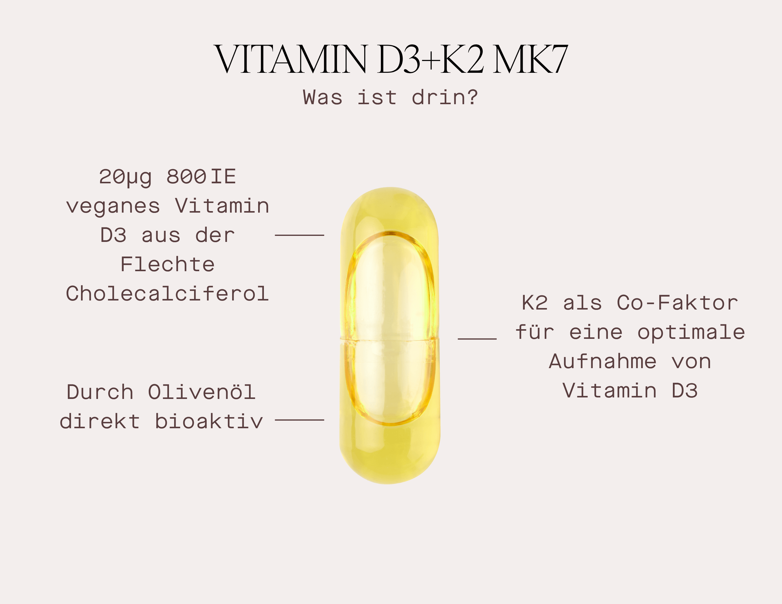 Informationen zu veganen Vitamin-D3- und K2-MK7-Kapseln mit Schwerpunkt auf Bioverfügbarkeit und Inhaltsstoffen.
