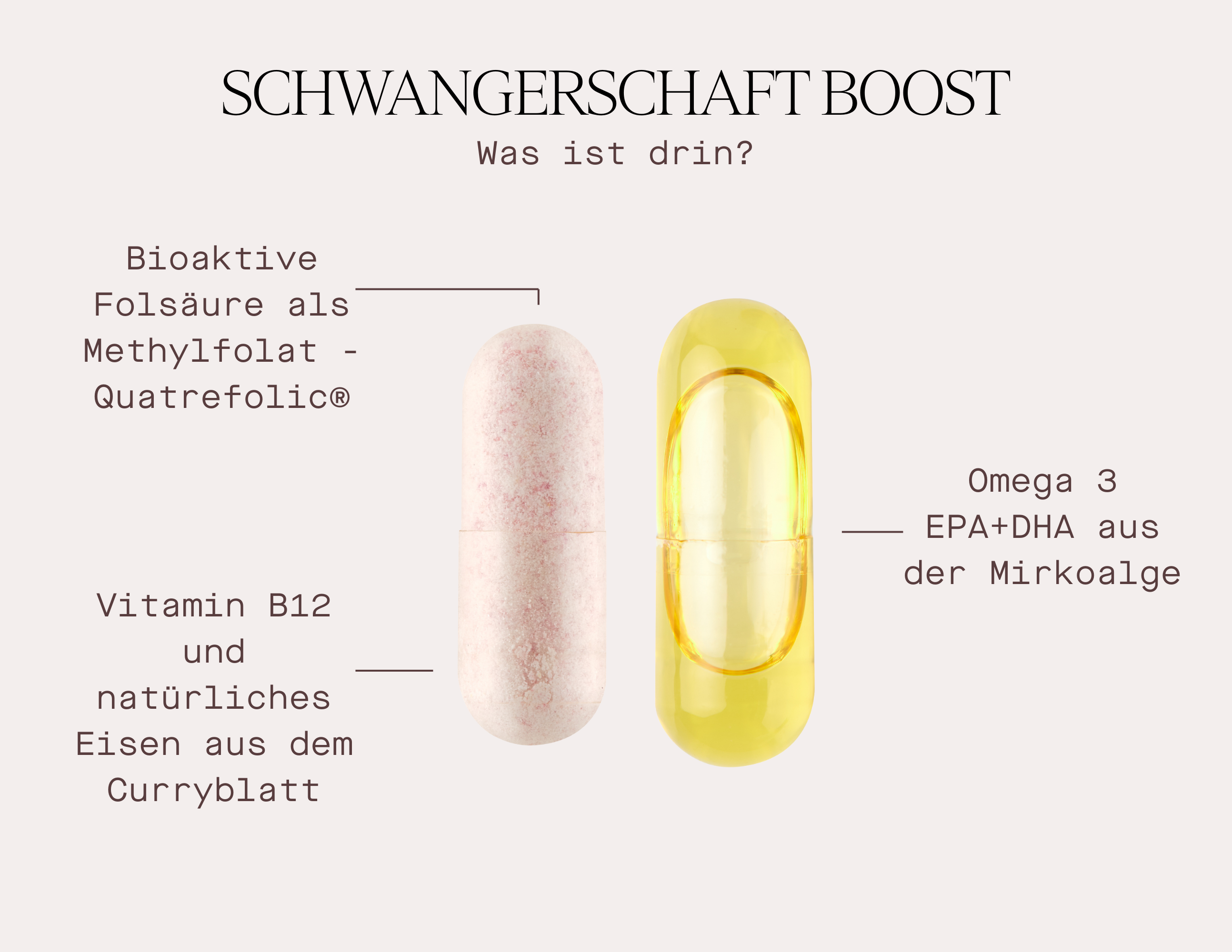Schwangerschaft Boost - Nahrungsergänzungsmittel