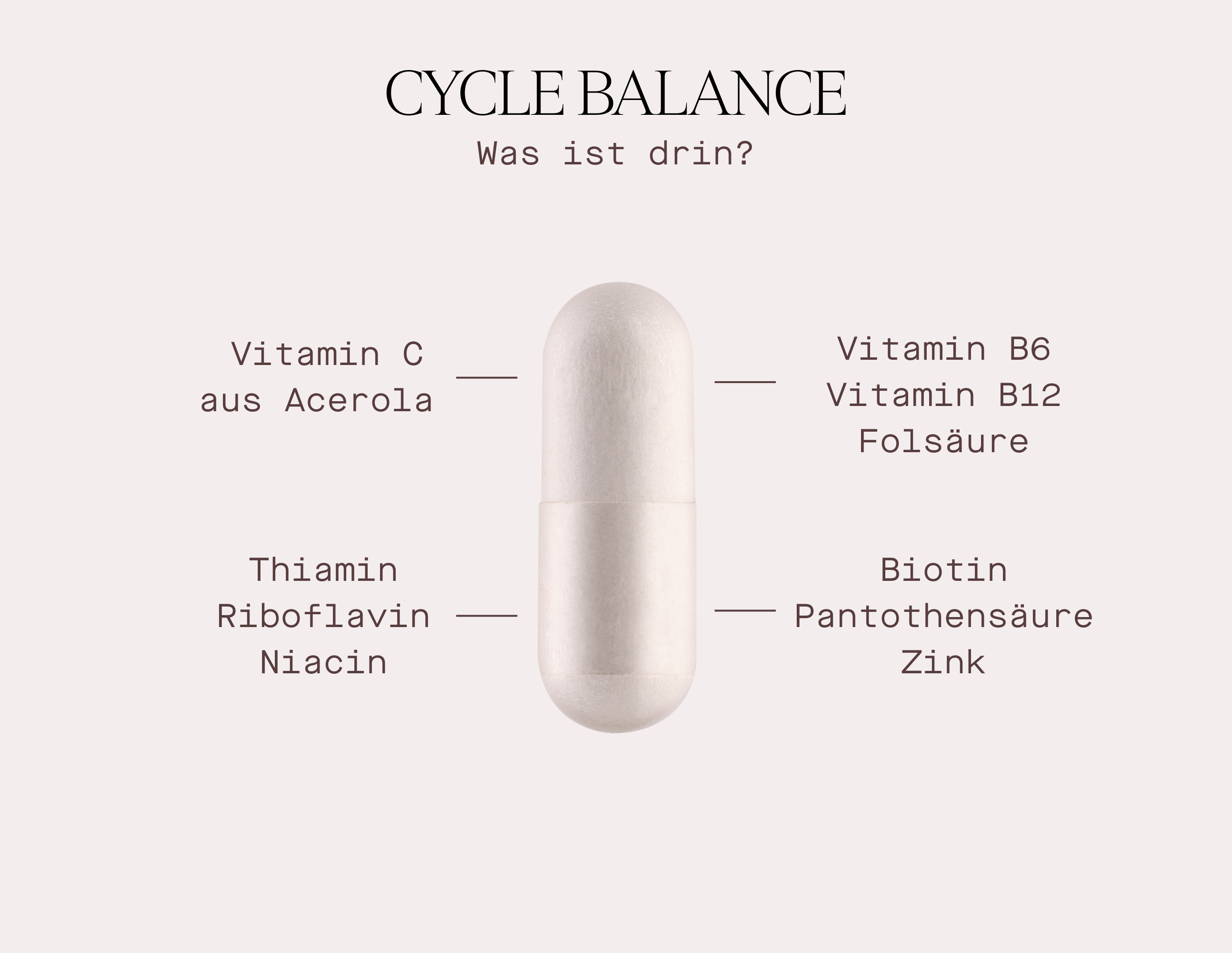 Cycle Balance - Nahrungsergänzungsmittel