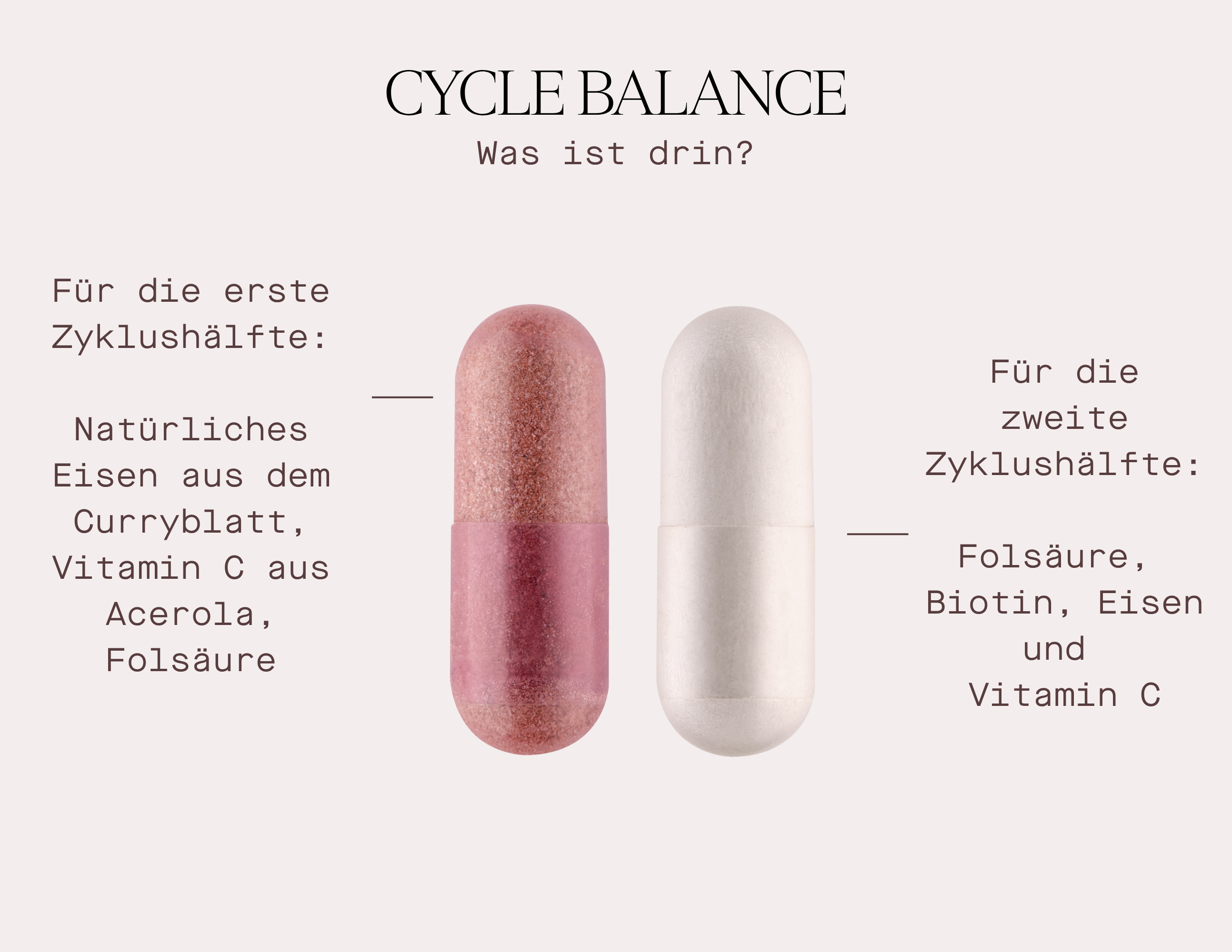 Cycle Balance - Nahrungsergänzungsmittel